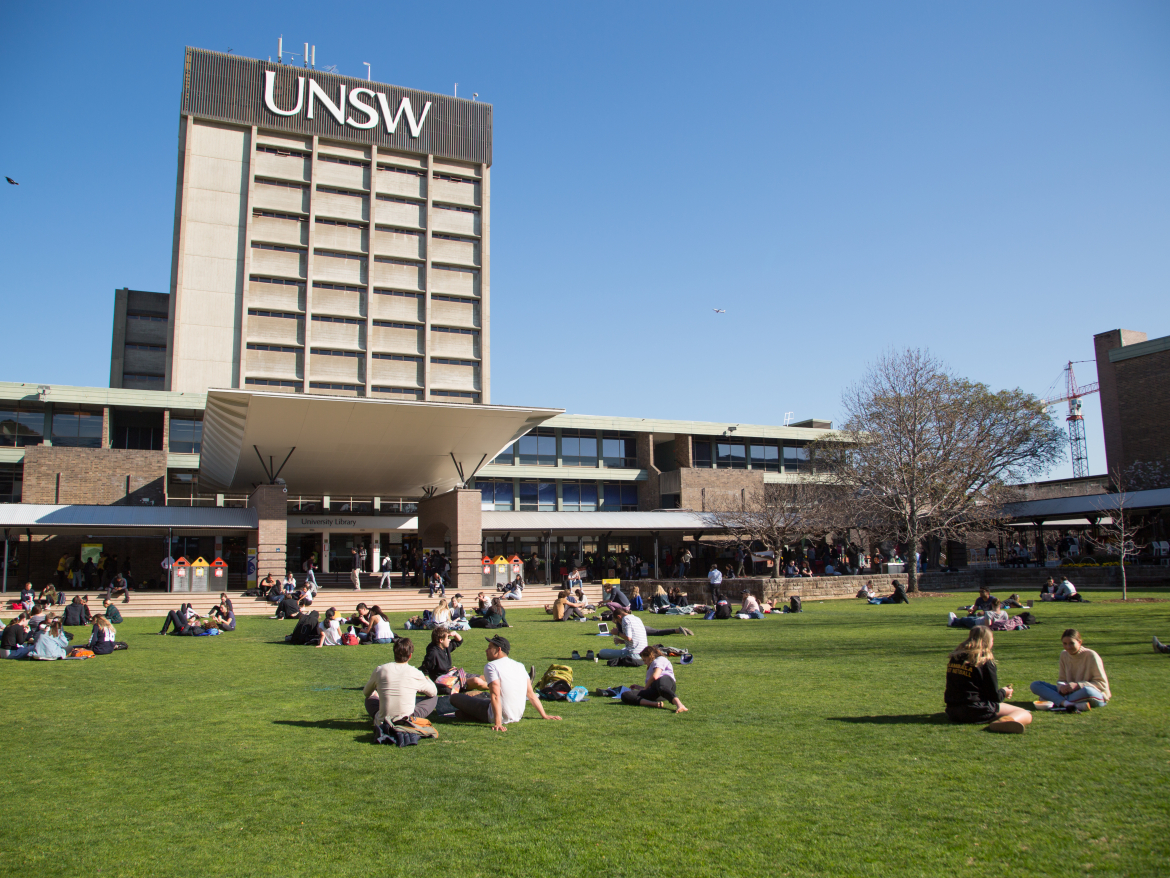 UNSW Library lawn